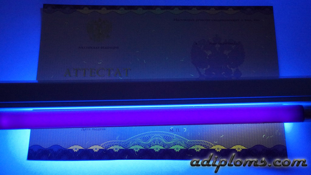 Аттестат 9 классов 2014-2026 Фото