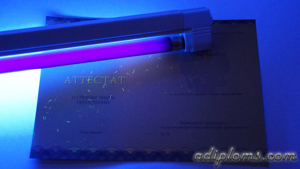 Аттестат 11 классов 2014-2026 Фото